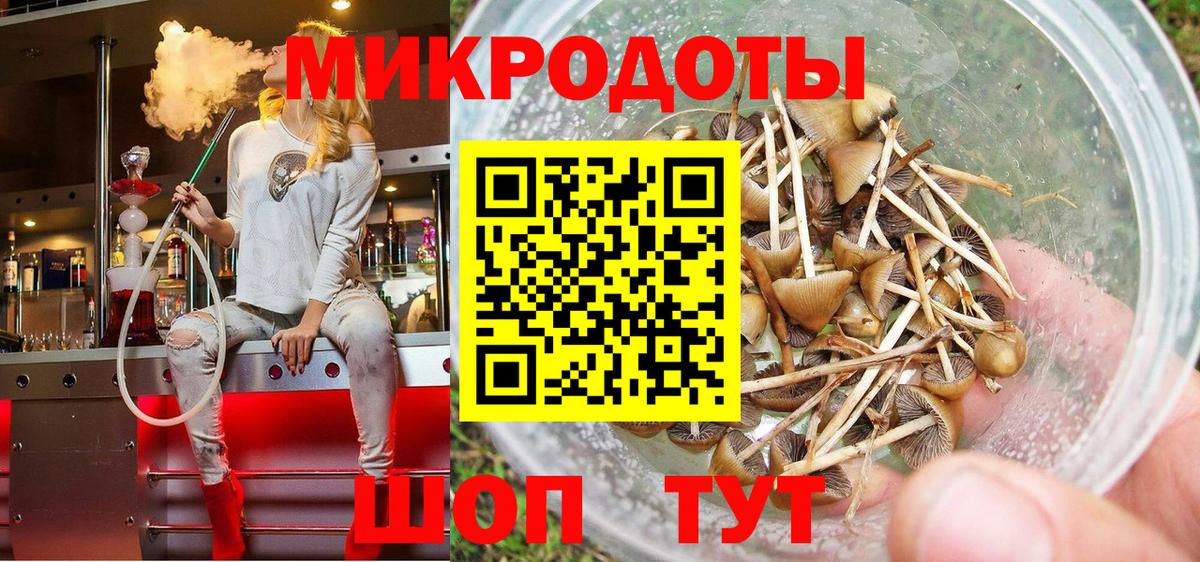 где купить наркоту  Вход с VPN  Дзержинск  Галлюциногенные грибы GOLDEN TEACHER 
